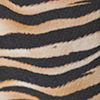 swatch-Multi