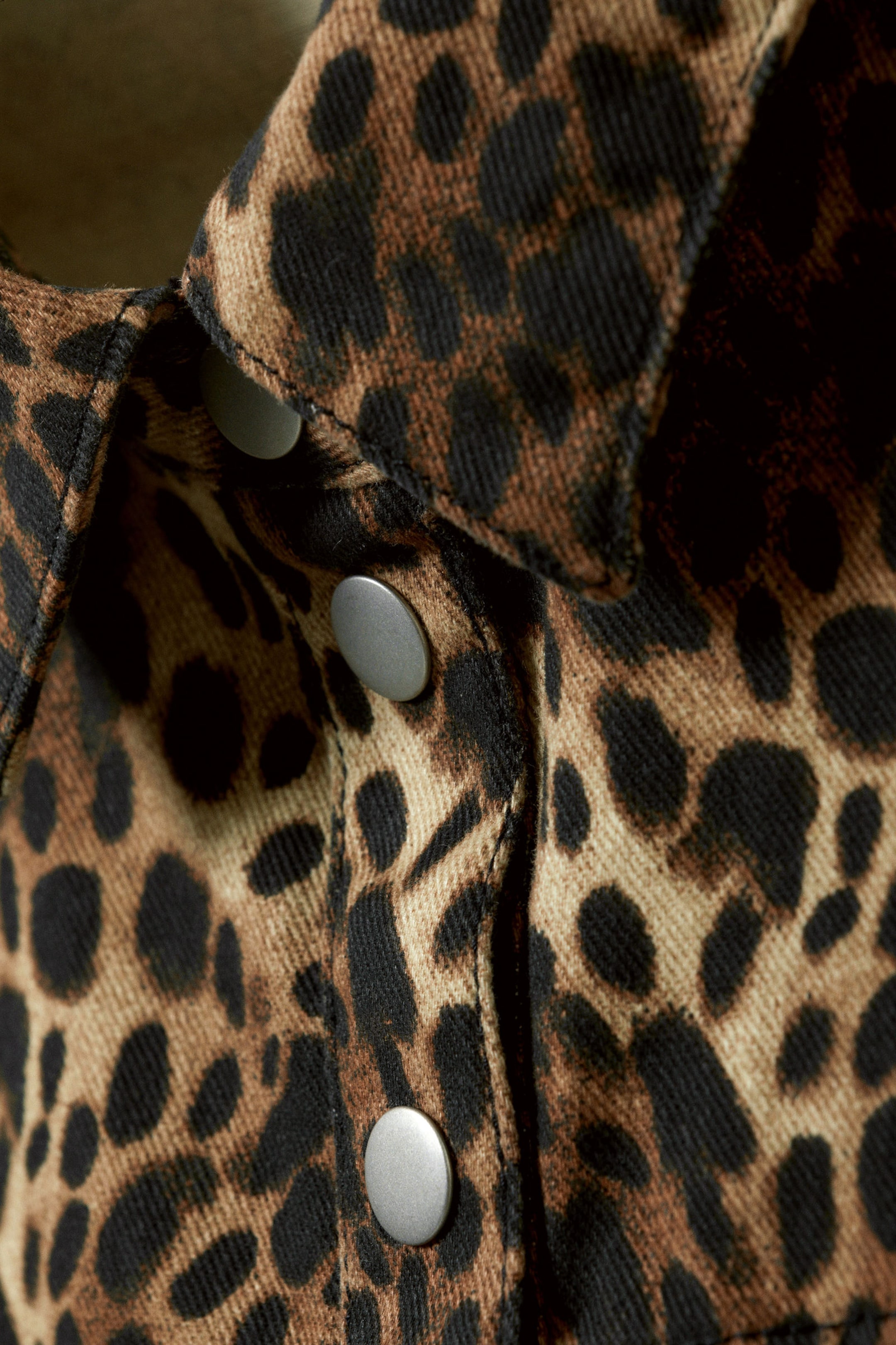 Leopard - Short-Sleeved Mini Shirt Dress - 5