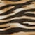 swatch-Tiger-striped