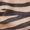 swatch-Beige