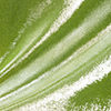 swatch-Shiny Green