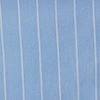 swatch-Blue