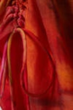 Orange/Red - Calypso Flower - Asymmetric Draped Mini Dress - 5