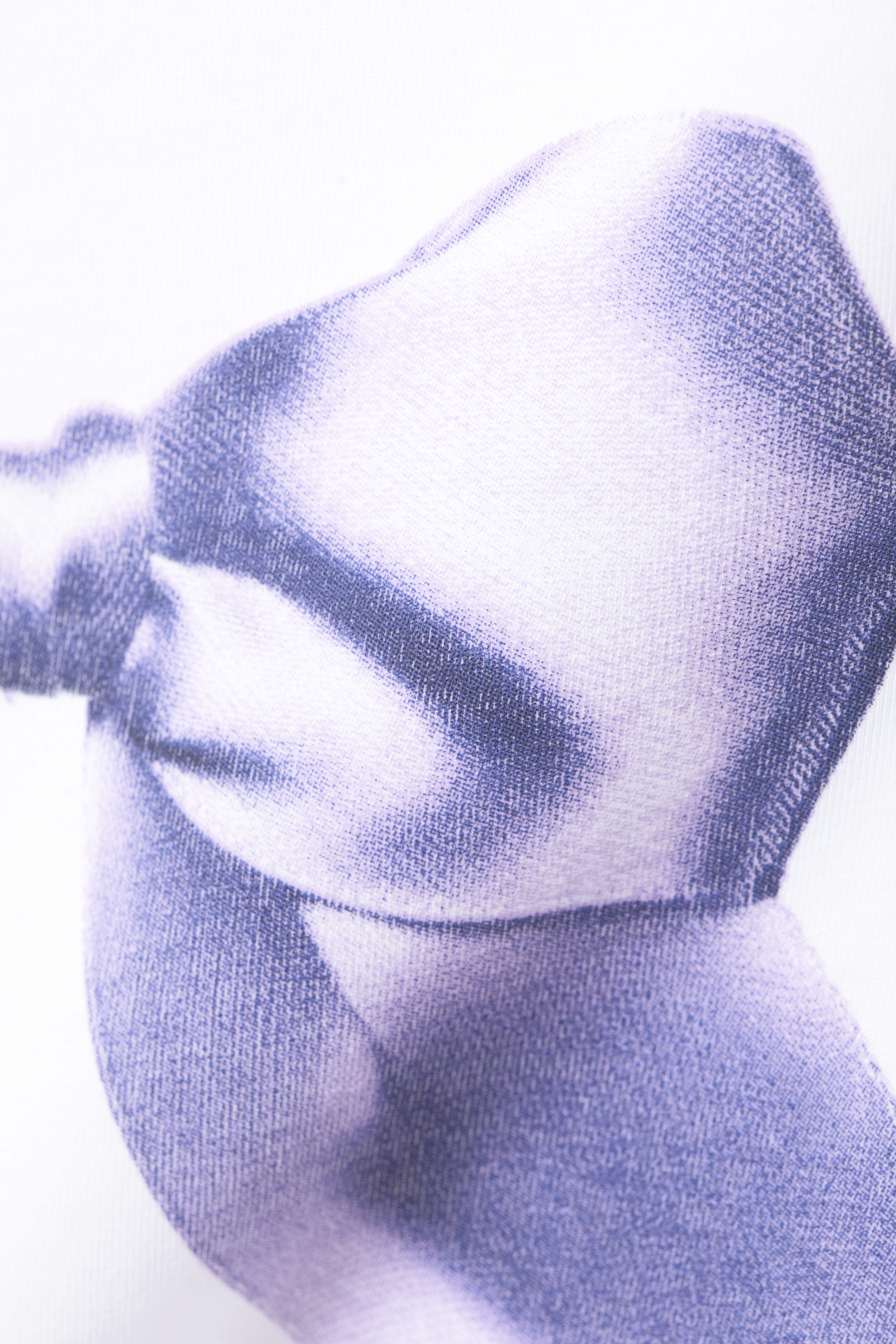 White - Purple Bow - Cropped t-shirt - 1