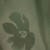 swatch-Groen