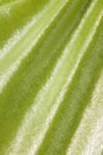 Shiny Green - Super soft sleeveless boatneck top - 6