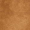 swatch-Brun