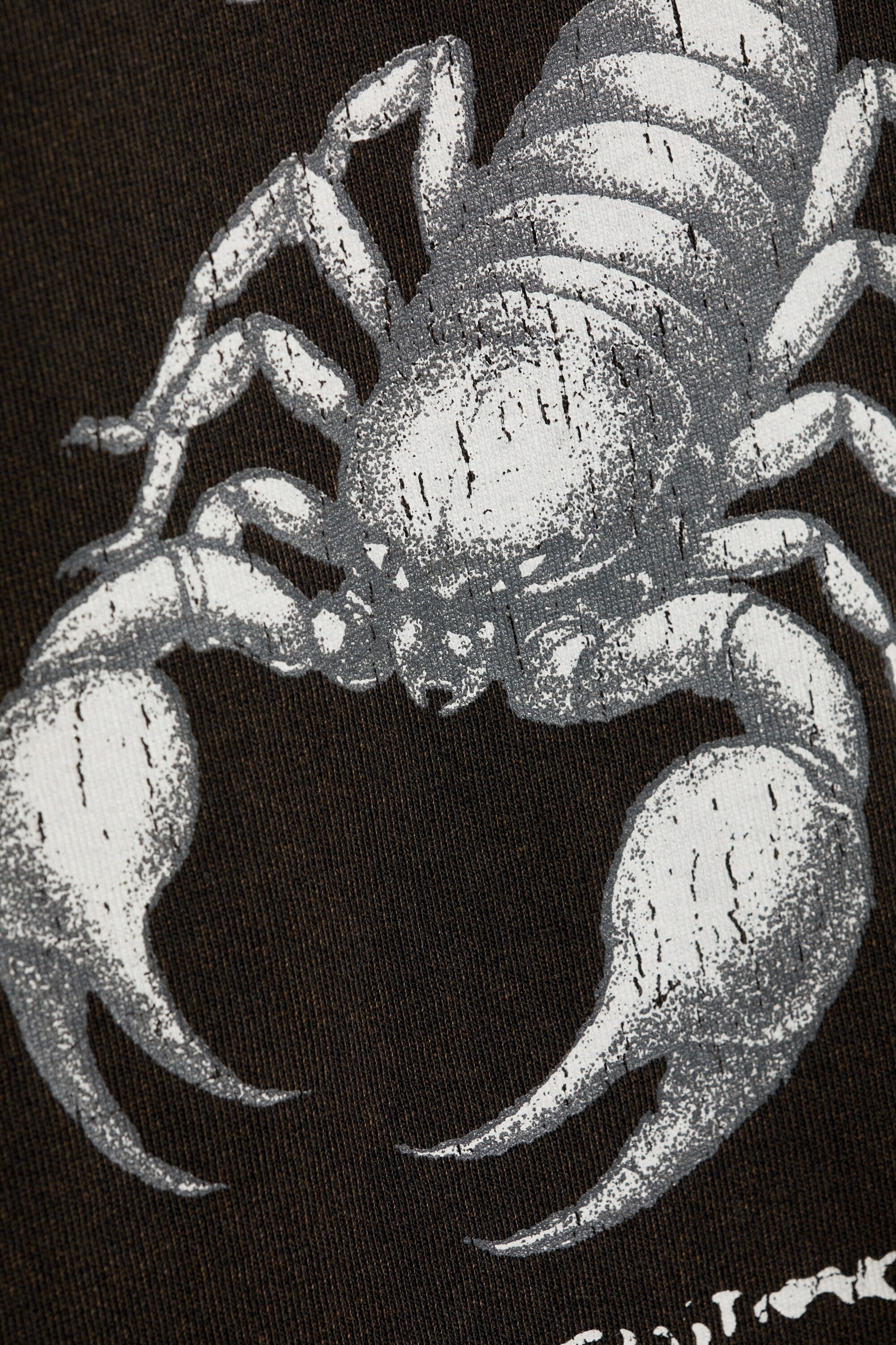 Schwarz - Skorpion - Lässiges Longsleeve mit Grafikdruck - 4