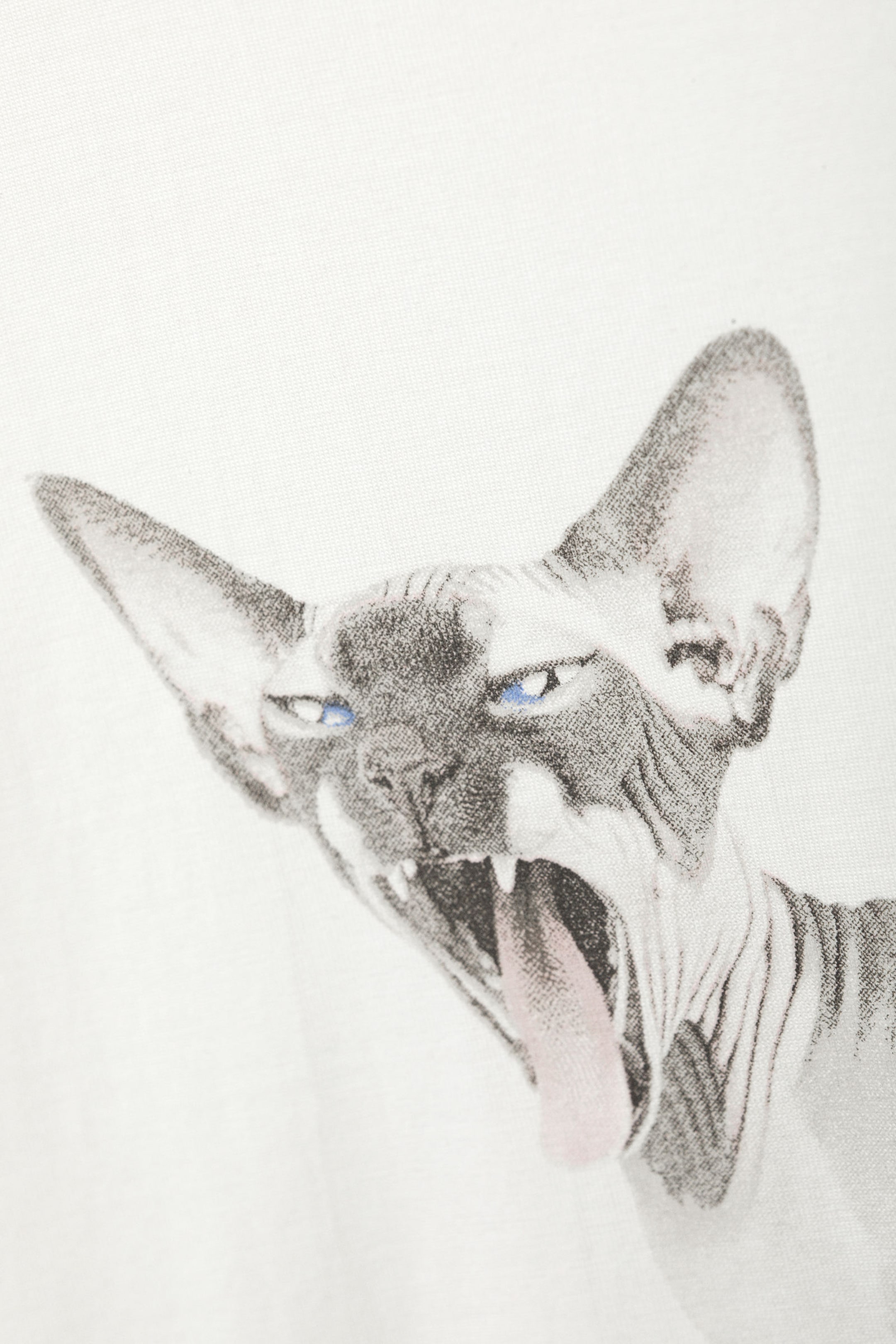 #F0EEED - Weites Oversize-T-Shirt mit Print - 2