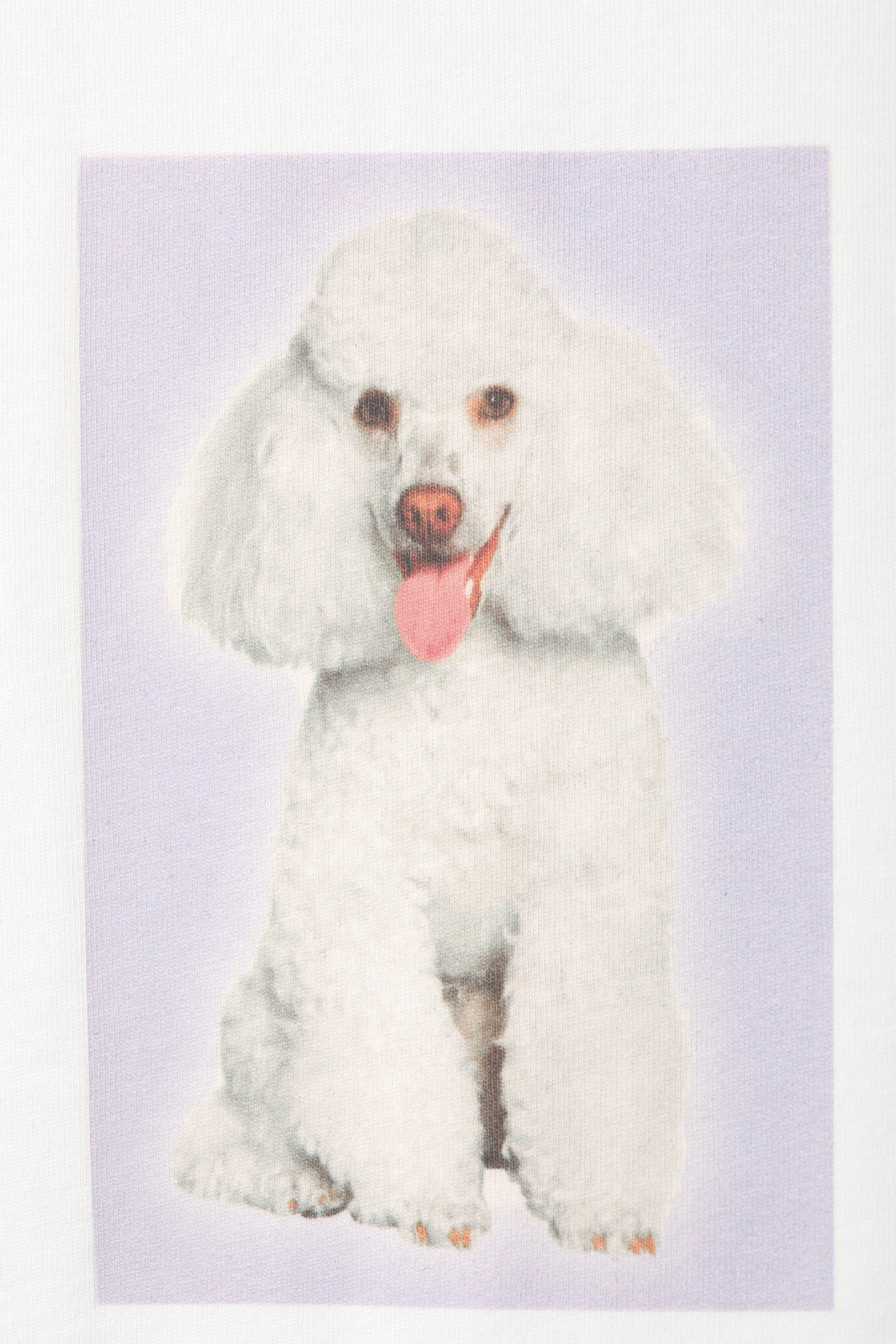 Poodle - T-Shirt mit Grafikprint - 1