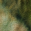 swatch-Green