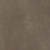 swatch-Beige