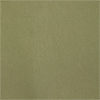 swatch-Green
