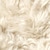 swatch-White