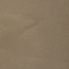 swatch-Beige
