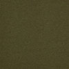 swatch-Green