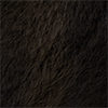 swatch-Brown