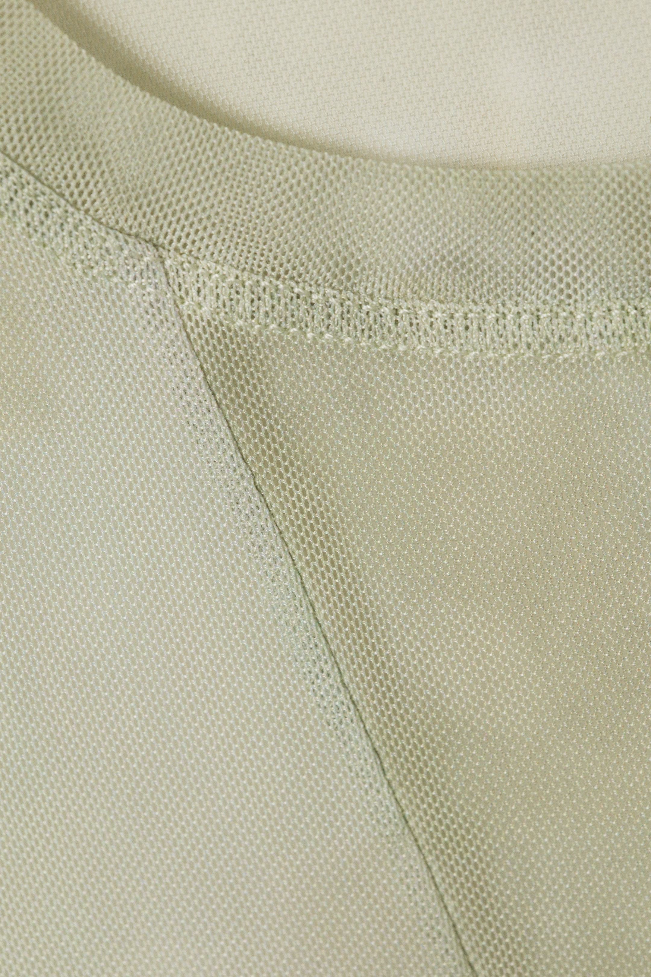 Bleached Sand - Dusty Beige - Long-Sleeved Sheer Mesh Top - 2