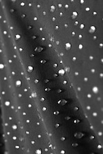 Dark Grey - Stones - Slim Fit Halter Top - 5