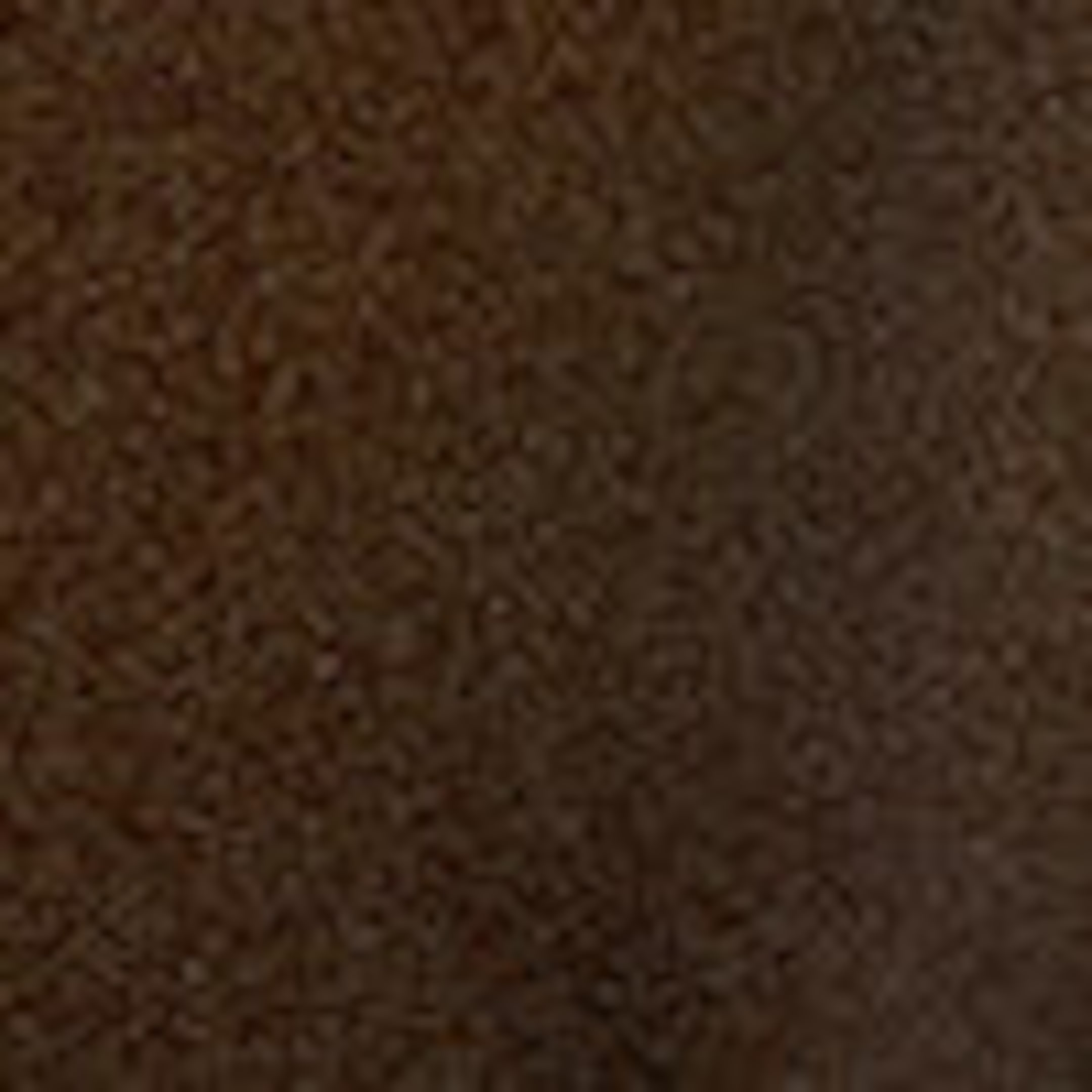 Dark Brown - Mid Rise Brazilian Tie Bikini Bottoms - 1