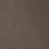swatch-Beige