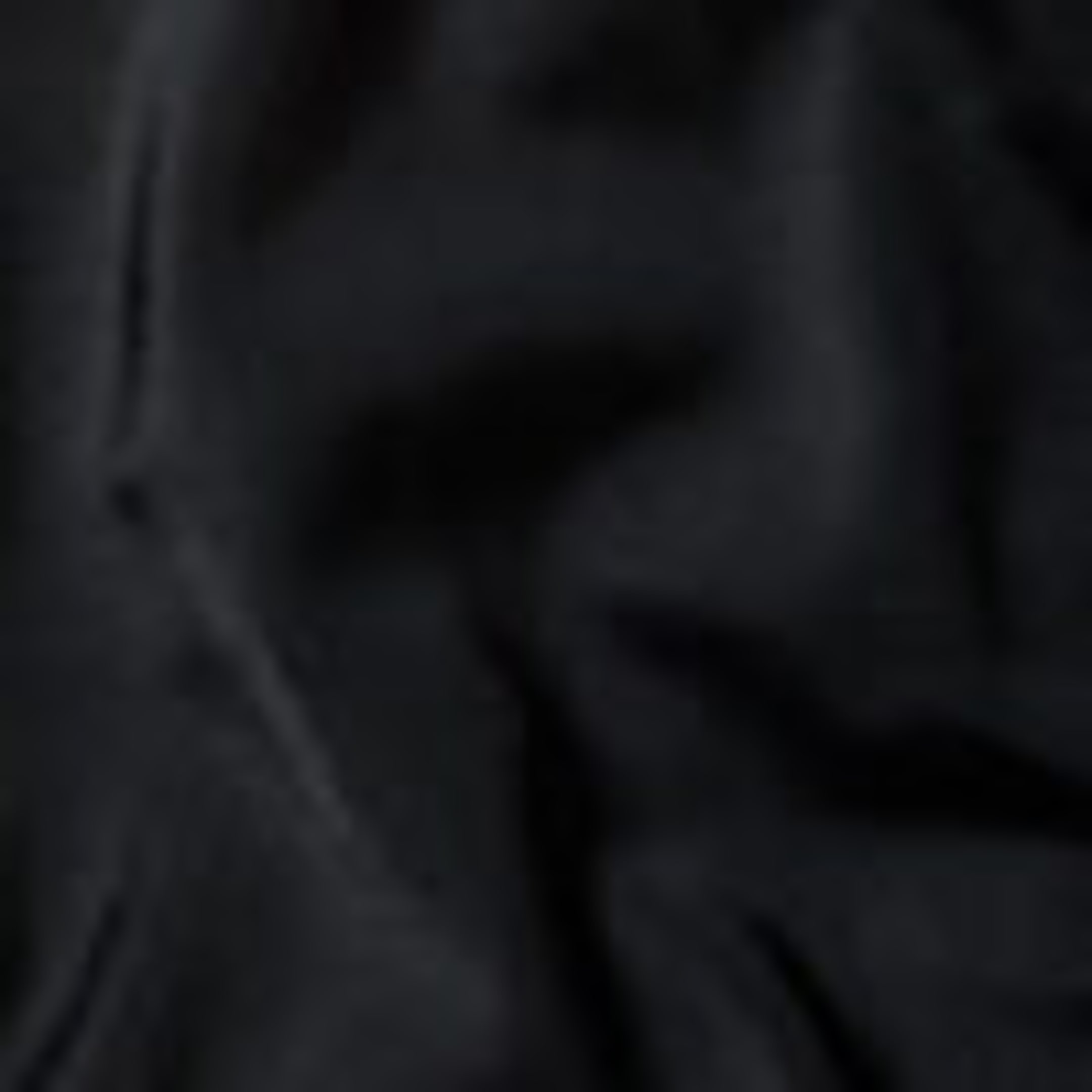 Svart - Bikinitrosa med volang - 1