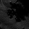 swatch-Black