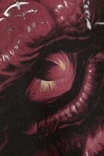 Washed Black - Dragon Gaze - Boxy top met print en lange mouwen - 6