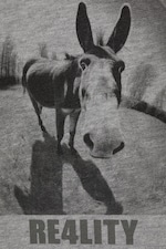 Grey - Donkey Reality - Great Boxy Printed Graphic Tee - 1