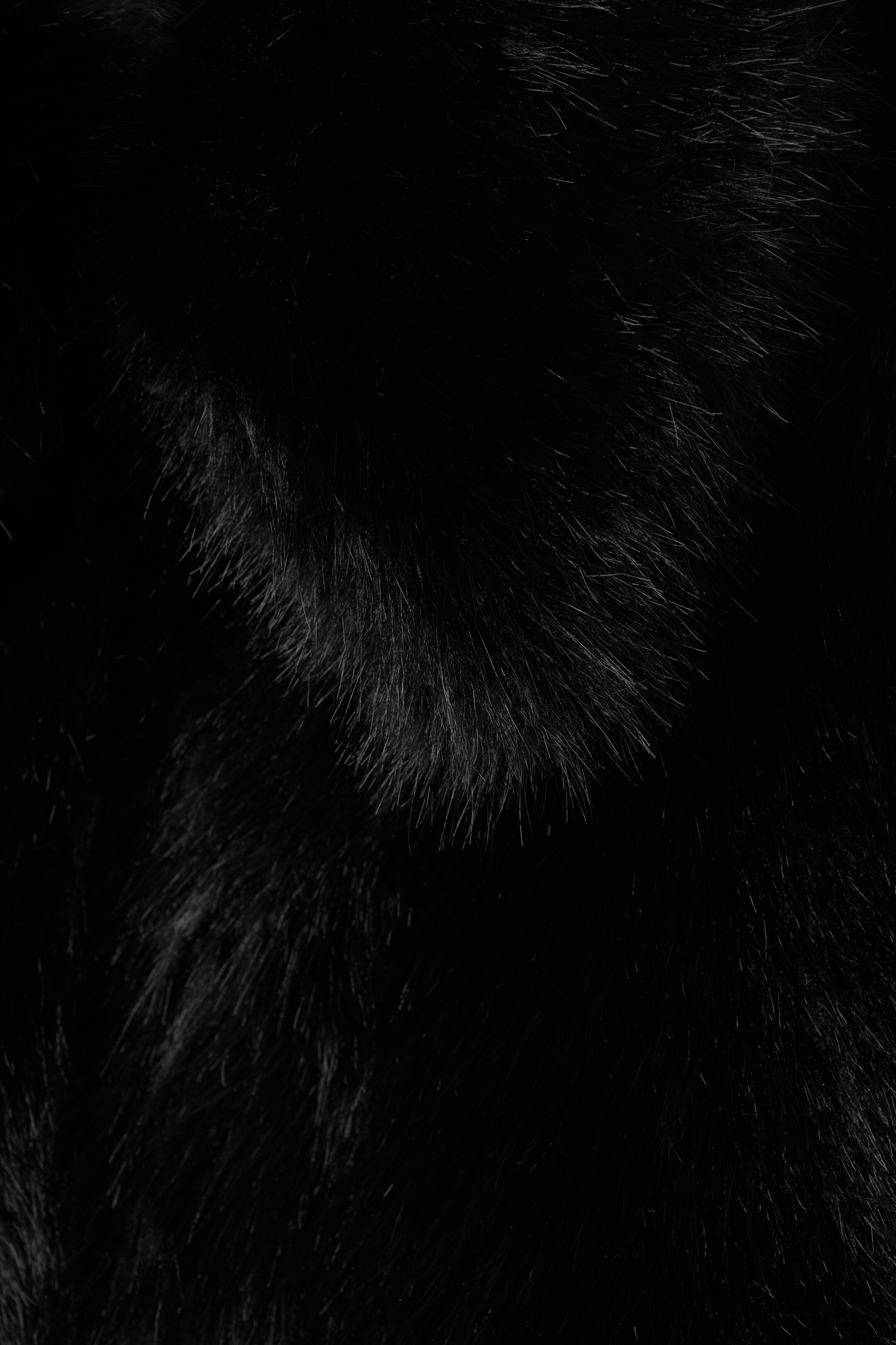 Visualizza immagine più grande: Giacca in pelliccia sintetica - Nero | H&M IT 6