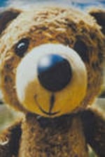 Schwarz - Fish-Eye Teddy - Bedrucktes kastiges T-Shirt - 4