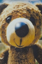 Svart - Fish-eye teddy - Boxig t-shirt med tryck - 1