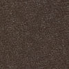 swatch-Brun