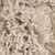 swatch-Beige