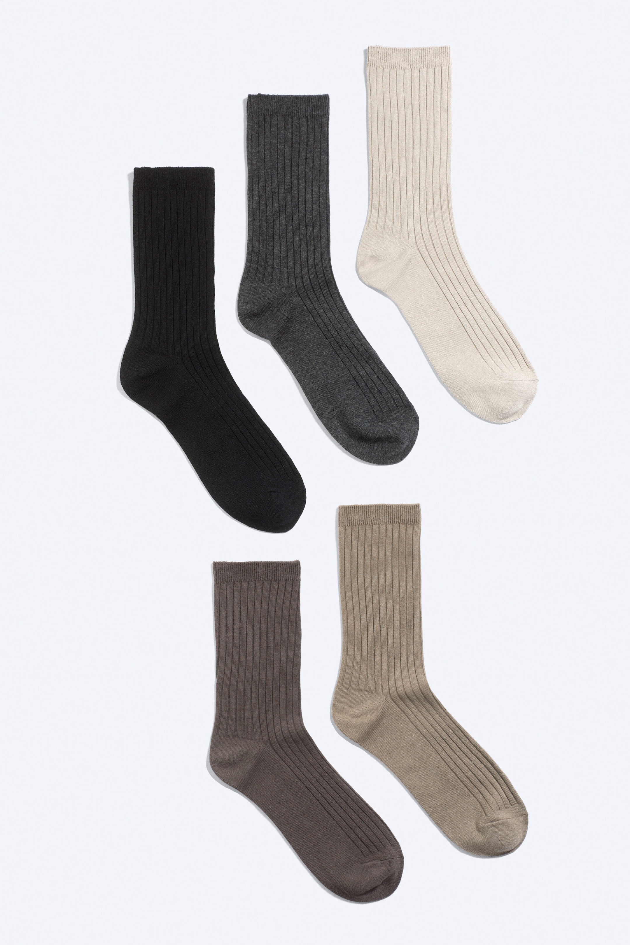 Dusty Mole Mix - 5er-Pack Rippensocken