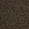 swatch-Beige