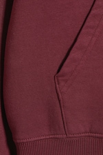 Rouge foncé délavé - Sweat à capuche coupe standard à manches raglan - 4