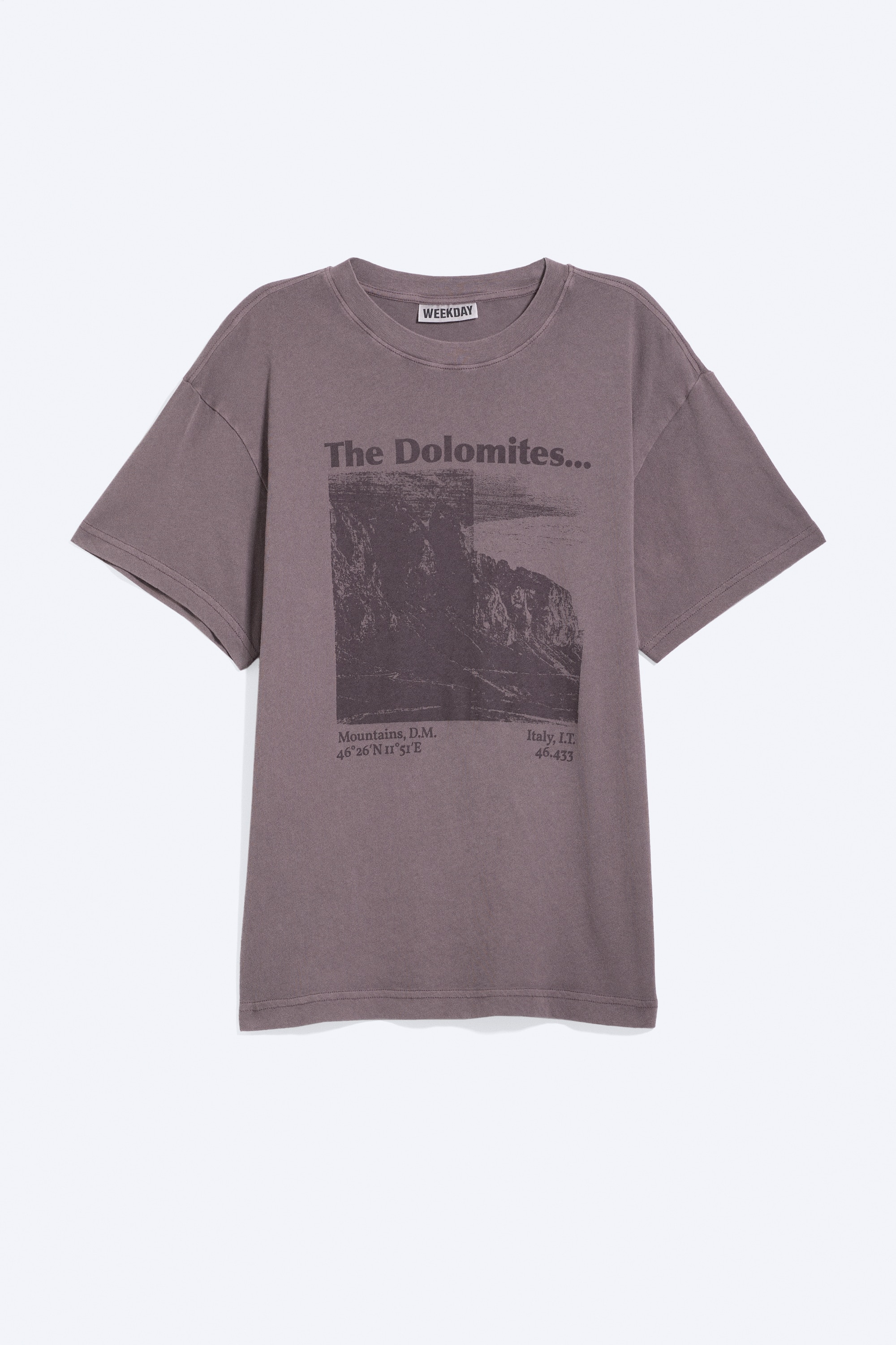 T-shirt con stampa grafica a maniche corte - Prugna polverosa - Stampa Mountain/Beige polvere chiaro - stampa M