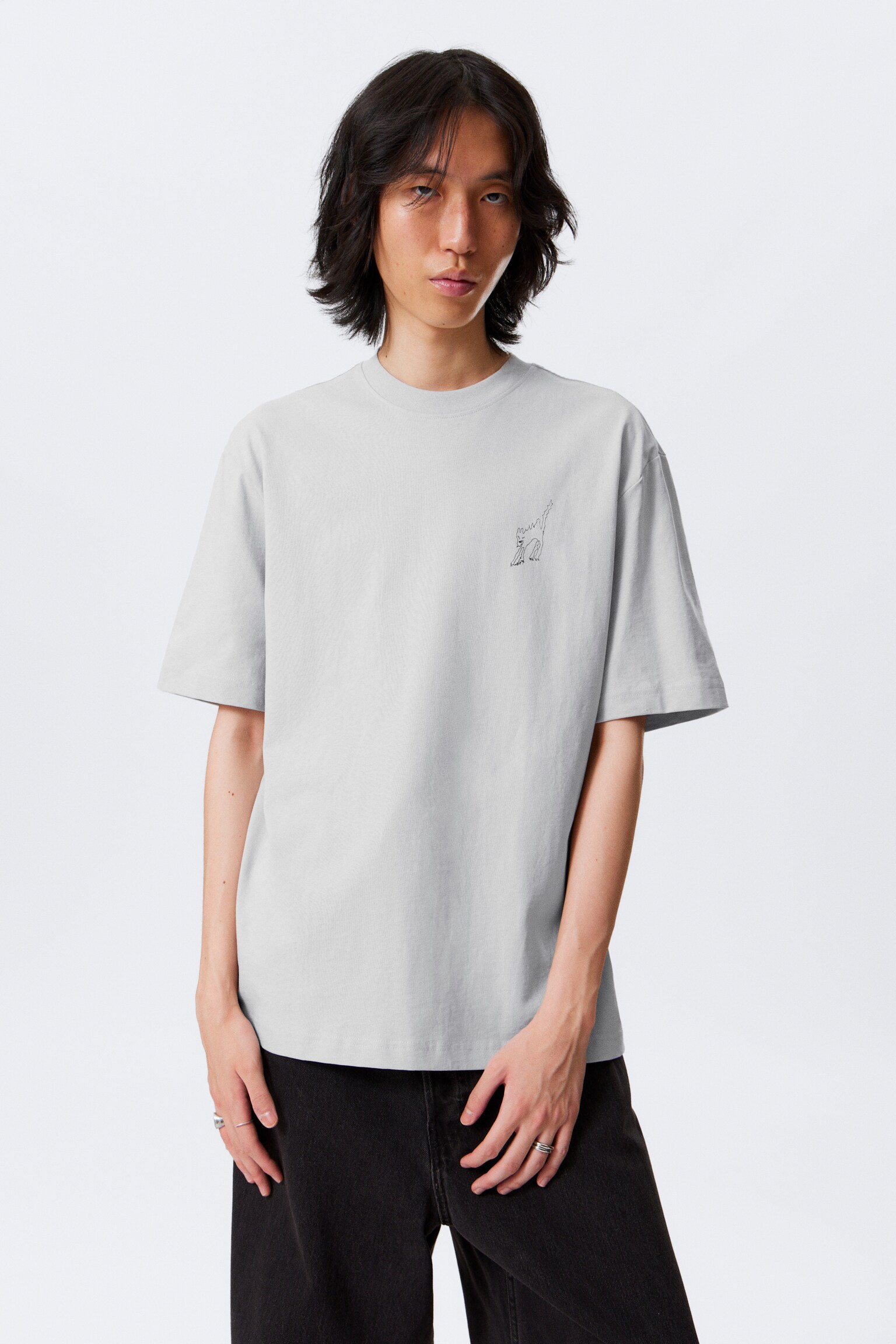 Relaxed Graphic Printed T-shirt - Grey - Scared Cat/Dark Brown - Drea8m/Dark Blue - Underground Bird