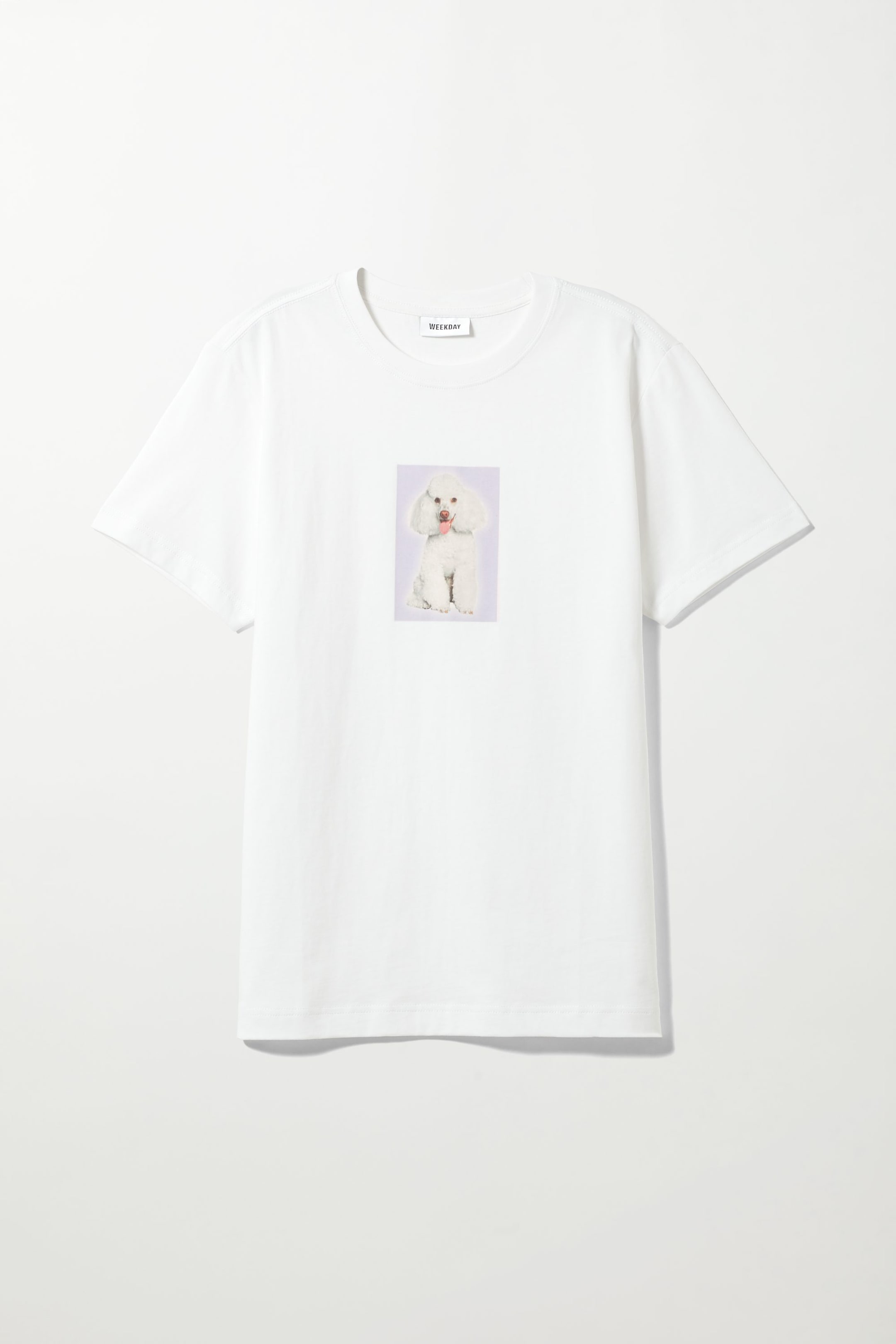 Poodle - T-Shirt mit Grafikprint - 0