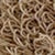 swatch-Beige