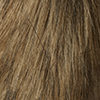 swatch-Beige