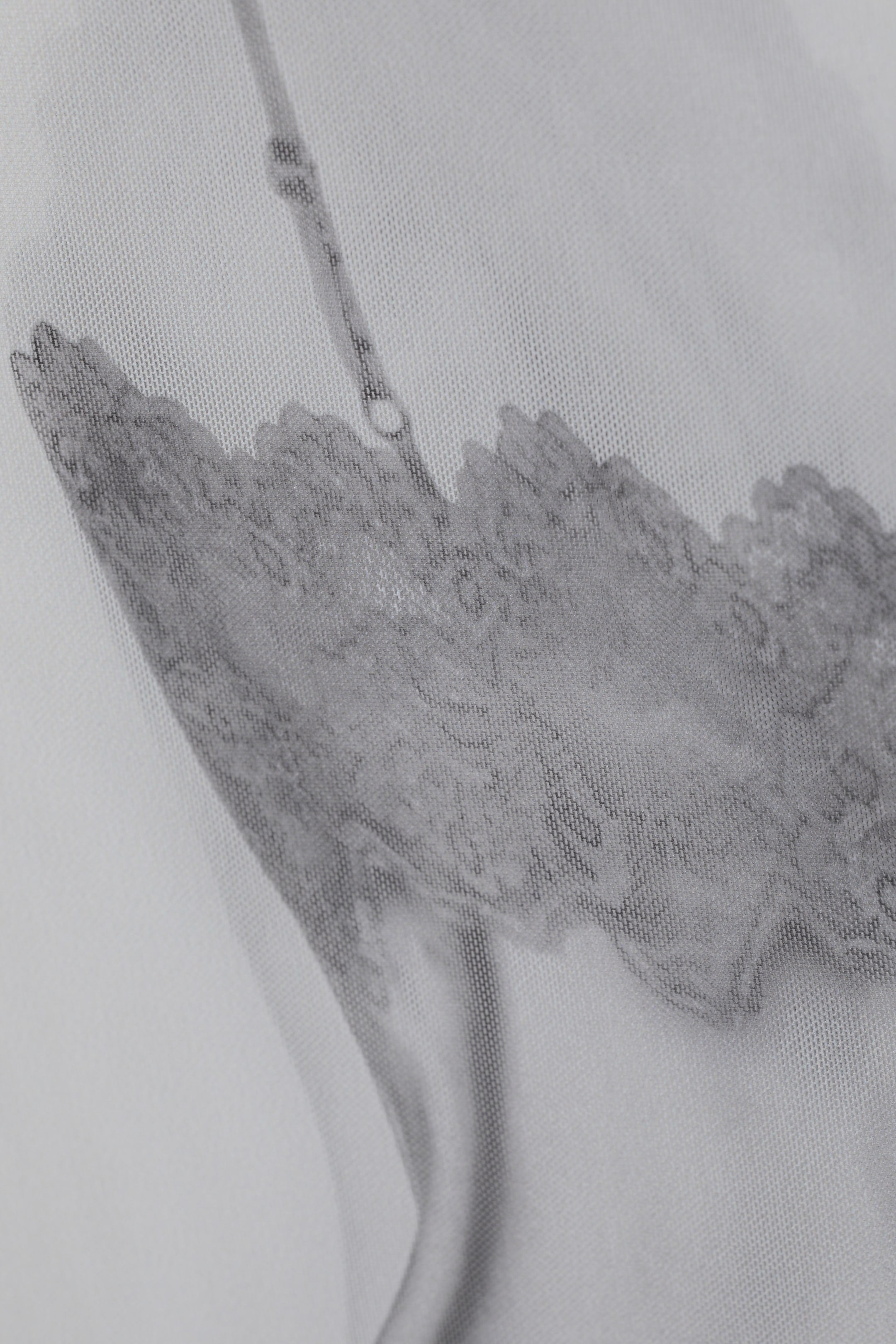 Transparenter Spitzentop-Print - Transparentes, bedrucktes Trägertop - 2