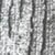 swatch-Silver