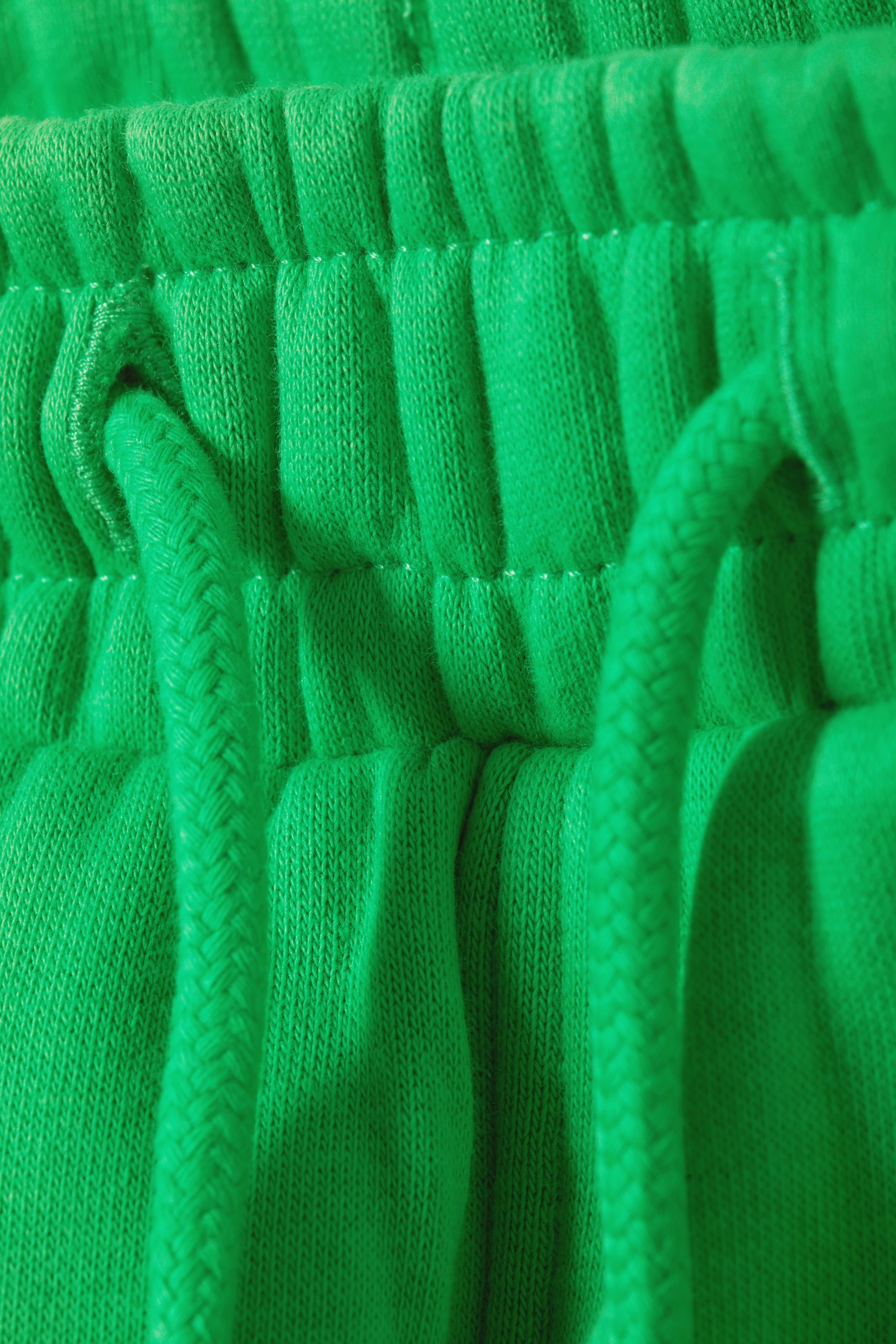 Green - Standard Sweatshorts - 1