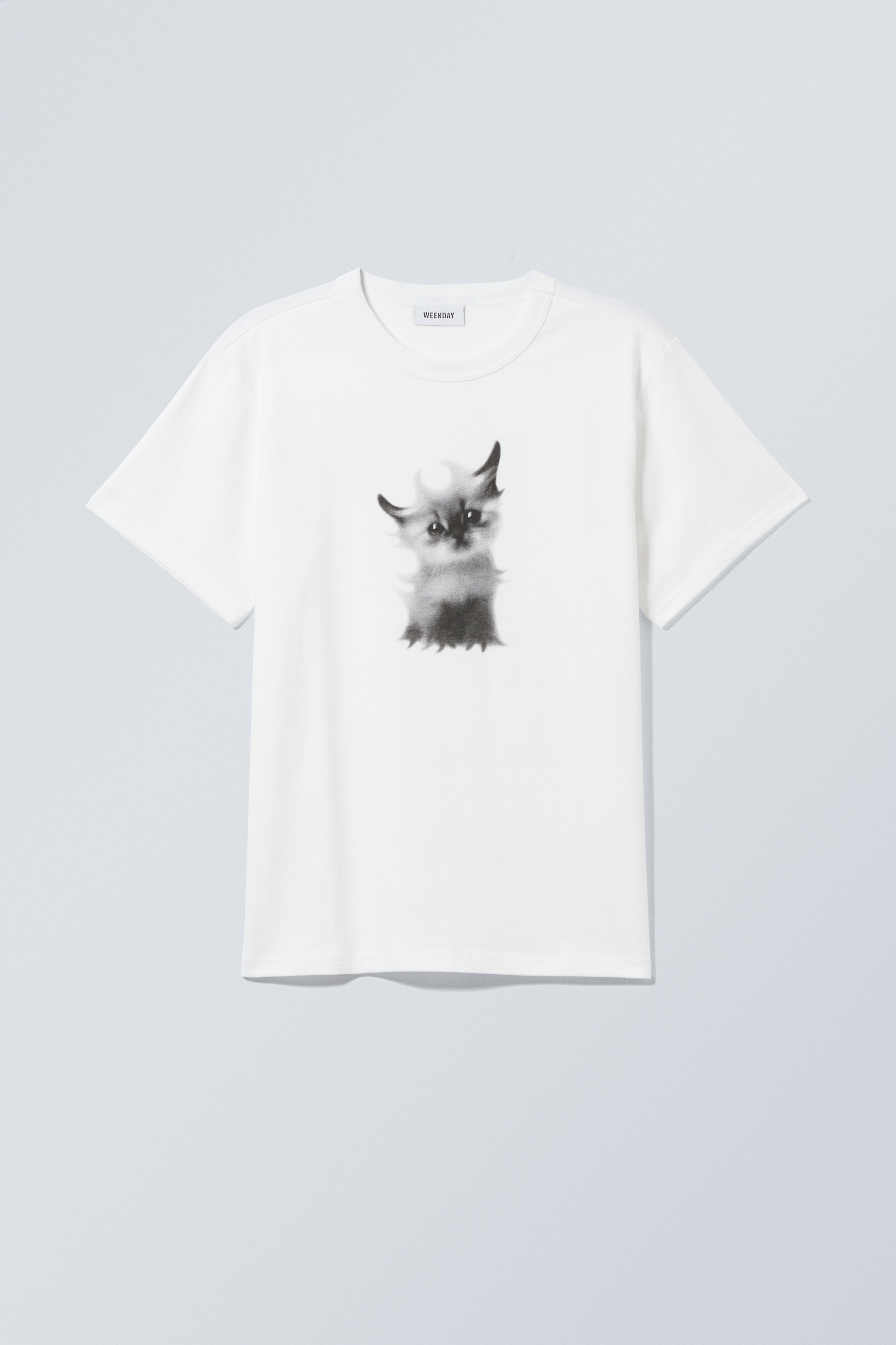 View larger image: Boxy Lightweight Graphic T-shirt - Kitty Cat Meow - Men | H&M GB 1