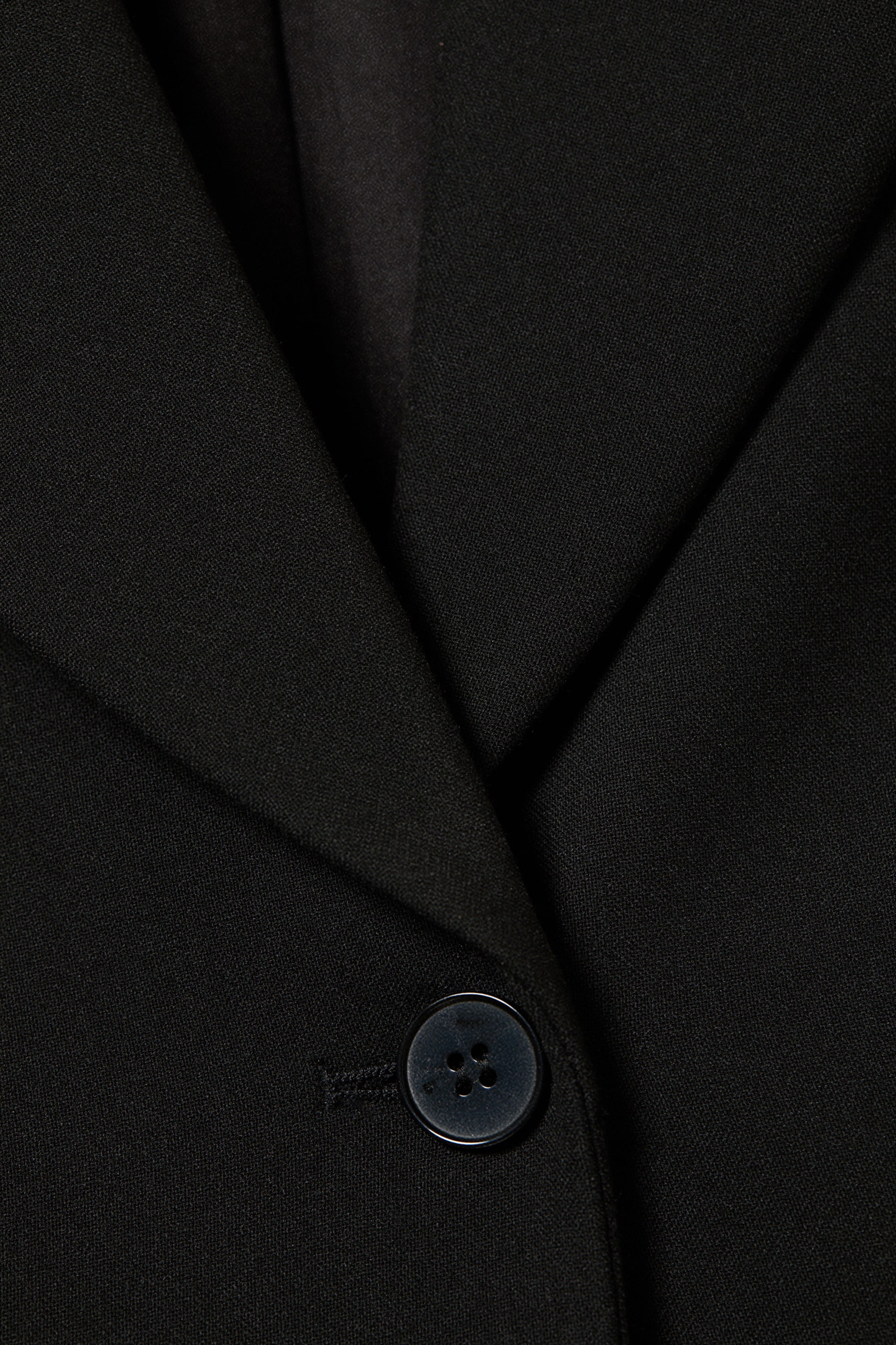 Black - Fitted Single-Breasted Blazer - 6