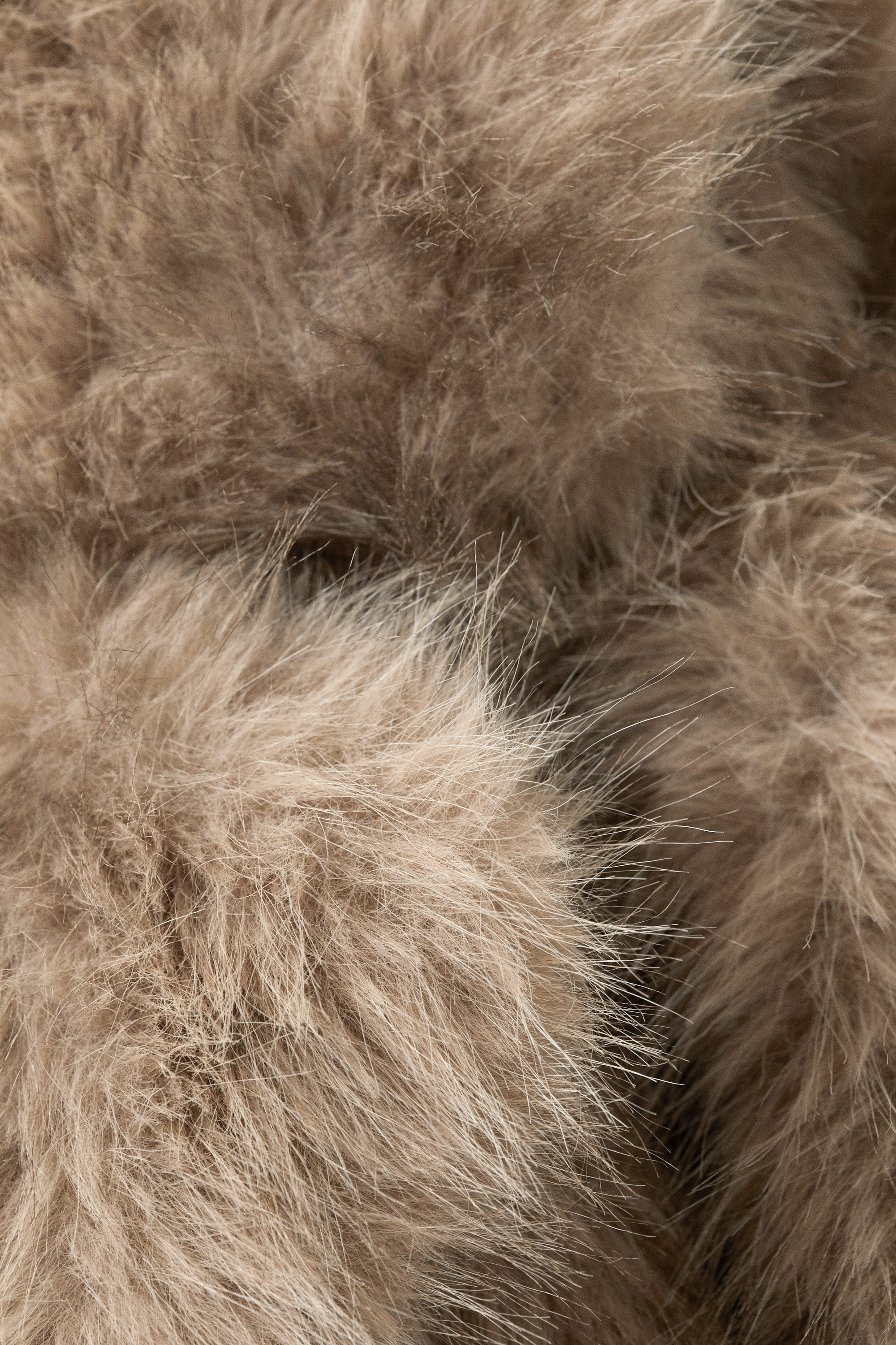 Beige/Brown Leopard Pattern - Faux Fur Jacket - 6