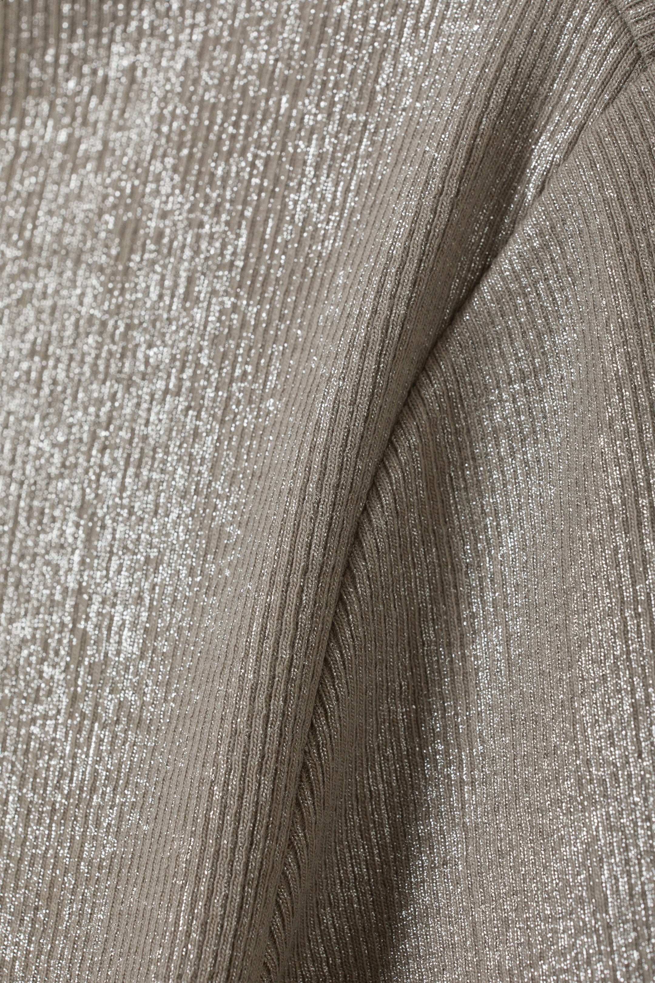 Dusty Metallic Mole - Ribbed Metallic Long Sleeve Top - 2