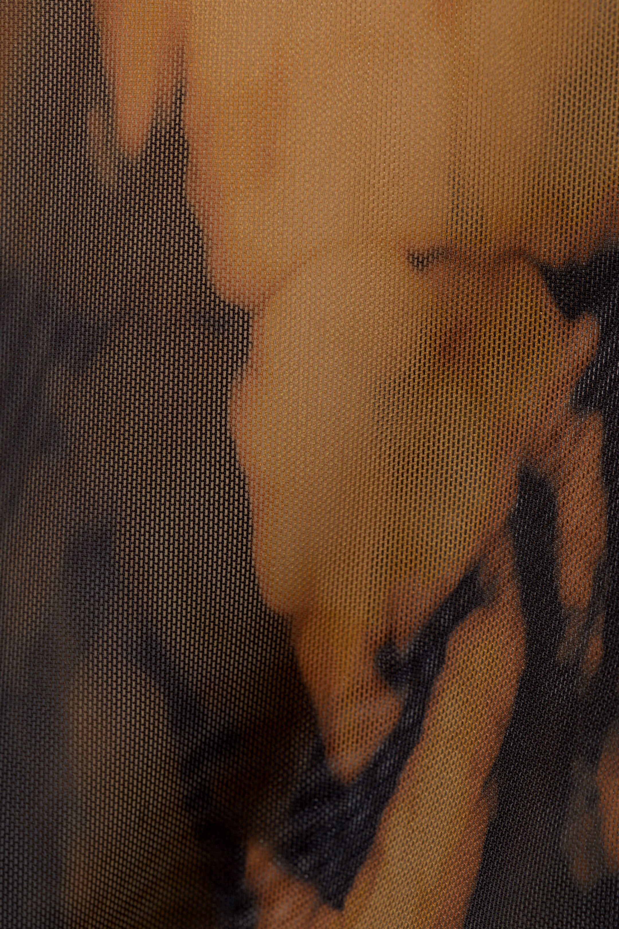 Ingrandisci l'immagine: Printed Long Sleeve Mesh Top - Surface Rust - DONNA | H&M CH 2